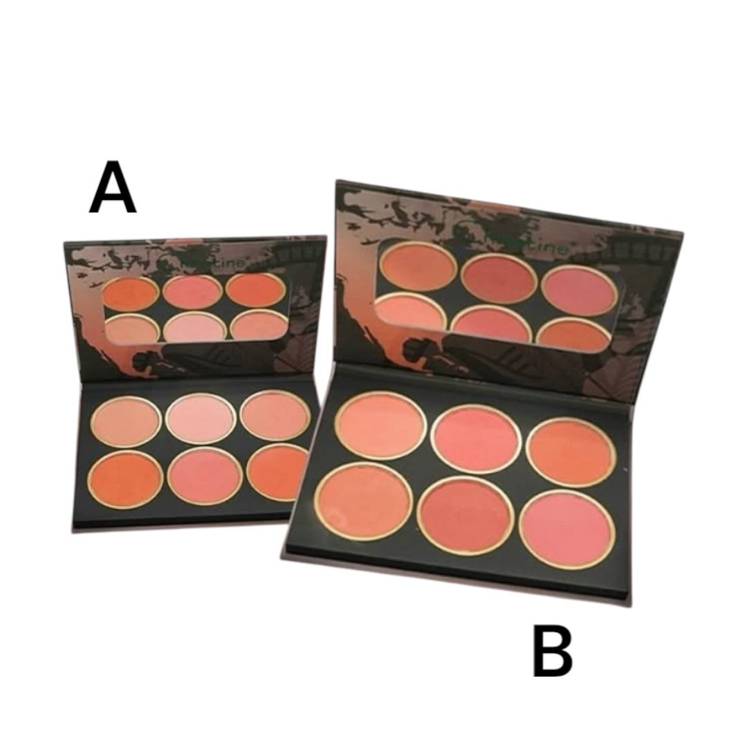 christine palette 6 in 1 B