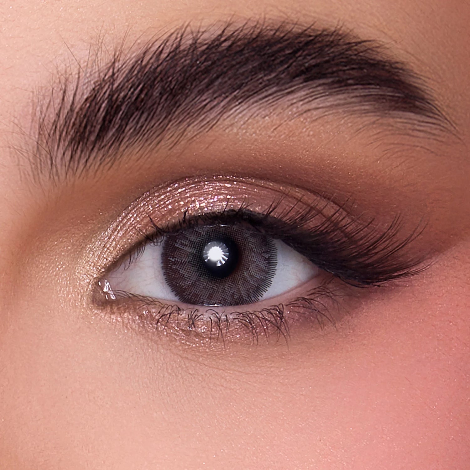 عدسات انستازيا اليومية 7 أيام- blended grey (رمادي مدمج)